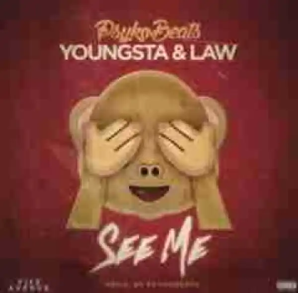 PsykoBeats - See Me Ft. Youngsta & Law